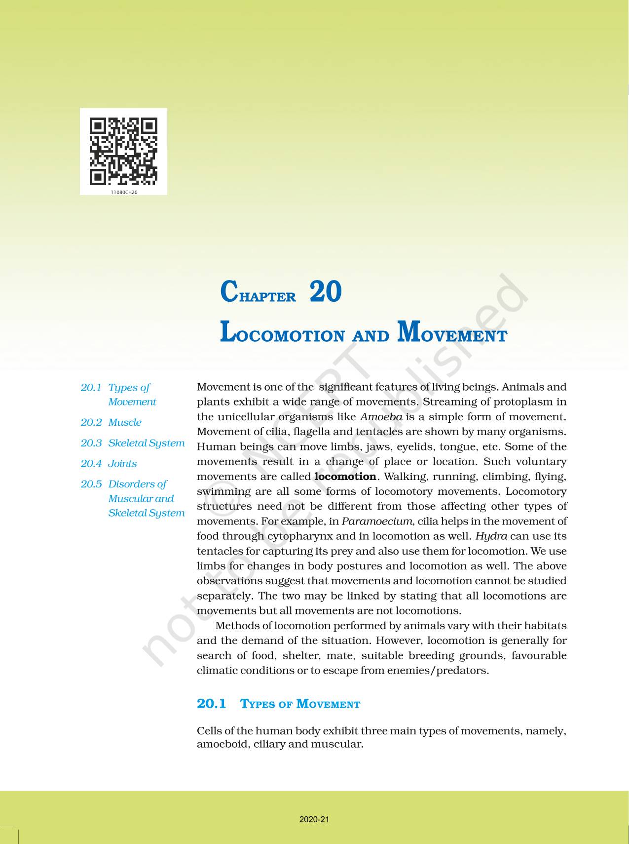 Locomotion And Movement - NCERT Book Of Class 11 Biology